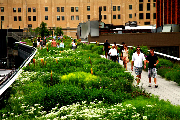 Getting High on Public Space: Old Rollers and Urban Planning : Brooklyn ...