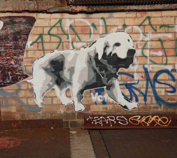 BSA Images Of The Week: 01.19.20 | Brooklyn Street Art