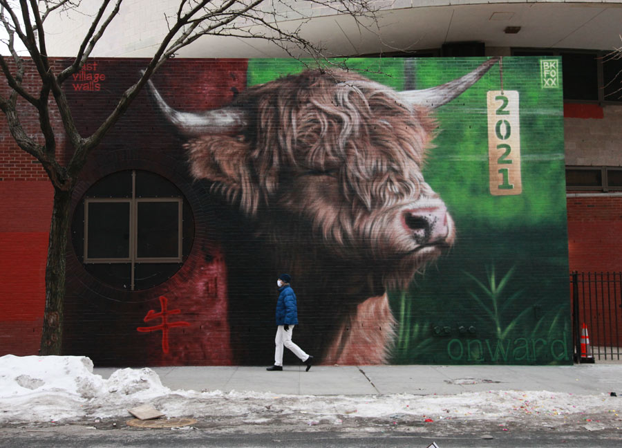 BSA Images Of The Week: 02.14.21 | Brooklyn Street Art