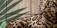 Snik’s Version of the Urban Jungle: Stencil  Conservation at Franklin Park Zoo