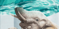 Nevercrew’s ‘Switch’ Elephant: A Visual Metaphor for Time and Awareness