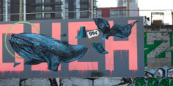 BSA Images Of The Week: 01.05.25